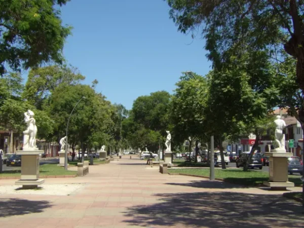 Paseo del Museo al Aire Libre en La Serena, rodeado de árboles frondosos que brindan sombra y frescura. A lo largo del camino se destacan esculturas clásicas en pedestales, que añaden un toque artístico y cultural al recorrido. El cielo despejado complementa la tranquilidad del entorno urbano.