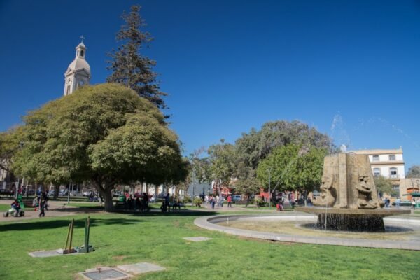 Vista de la Plaza de Armas de La Serena, con una fuente central decorada con esculturas y rodeada de áreas verdes y árboles frondosos. Al fondo, se destaca el campanario de la Catedral de La Serena bajo un cielo despejado, mientras los visitantes disfrutan del entorno tranquilo y soleado.