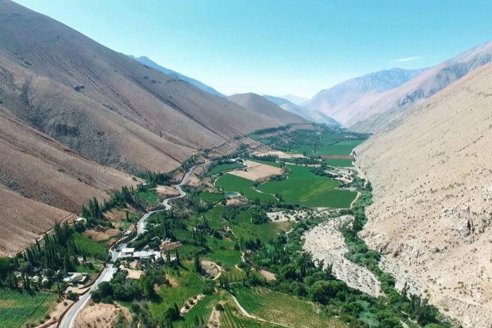 Vista panorámica del Valle del Elqui, con montañas áridas que enmarcan un paisaje verde y fértil lleno de viñedos, campos cultivados y un río serpenteante. Un camino atraviesa el valle, conectando pequeños pueblos y casas, bajo un cielo despejado que resalta la majestuosidad del entorno natural.